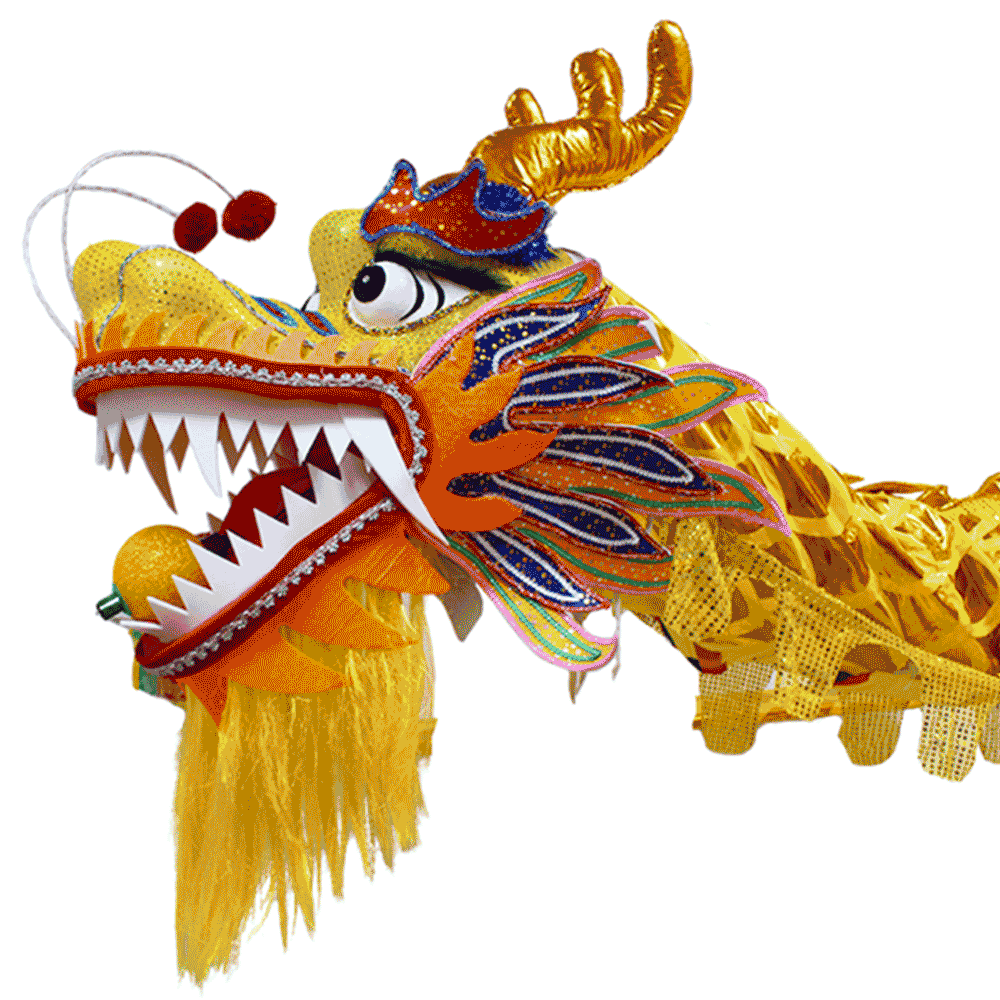 Shop Martial Arts Equipment - KungFuDirectD1321 - Golen